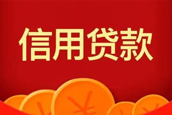 苏州私放民间借贷当天下款-苏州私放私借空放直接上门-苏州私放个人小额贷款